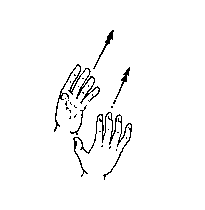 volleyball.gif (1091 bytes)
