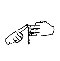 name.gif (944 bytes)